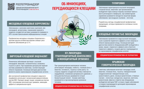 Профилактика инфекций, передающихся иксодовыми клещами